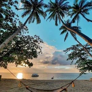 Meet your Posher, Dianne